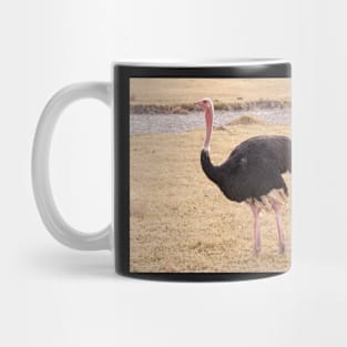 Ostrich Mug